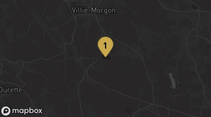 Carte : Domaine Morgon La Javernière à Villié-Morgon
