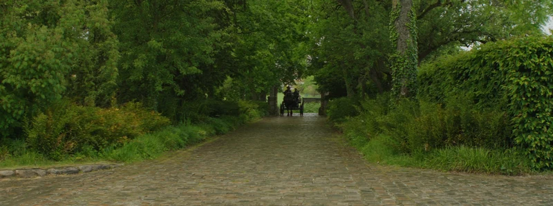 La grande allée pavée sous les arbres du Domaine de Quincampoix