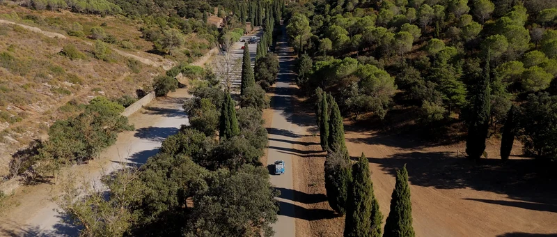 L'allée bordée de cyprès qui mène à l'Abbaye de Fontfroide, vue du drone
