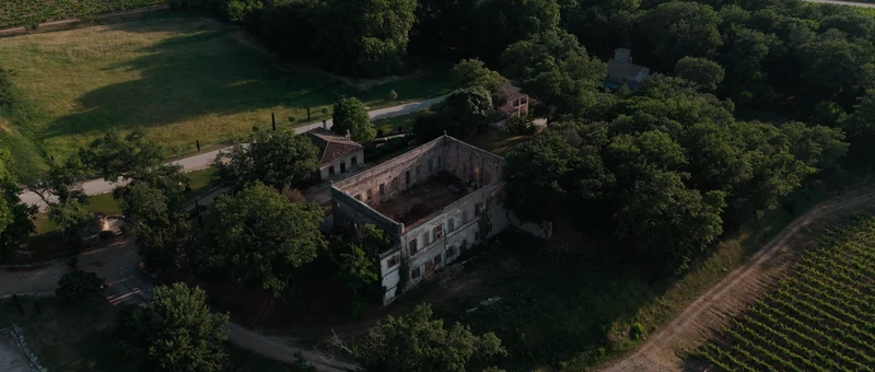 Le Château de Roquefeuille vu du drone, entre les bois et les rangs de vigne du domaine