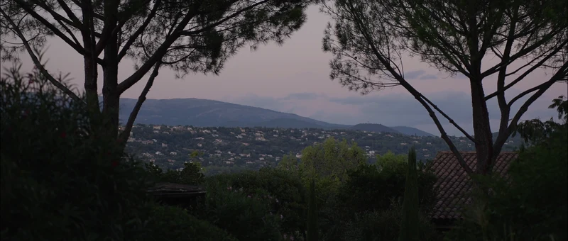 La vue depuis Terre Blanche sur les collines du pays de Fayence au crépuscule, entre les pins parasols