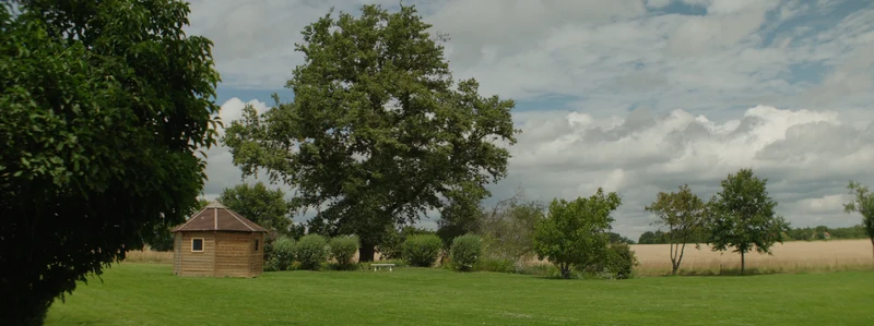 Le parc du Domaine des Médards, son grand arbre et les champs alentour